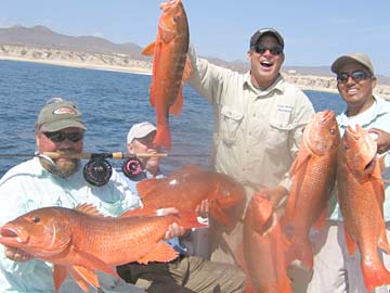 Cabo San Lucas Mexico Fishing Photo 3