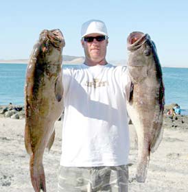 Rocky Point Mexico Fishing Photo 1