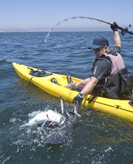 San Quintin Mexico Fishing Photo 5