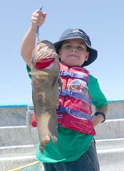 Bahia de los Angeles Mexico Fishing Photo 6