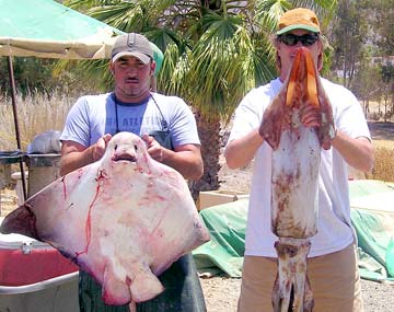 Ensenada Mexico Fishing Photo 1