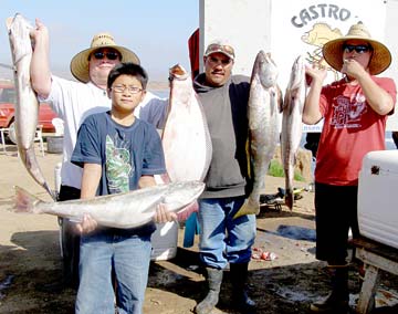 Castro's Camp Mexico Fishing Photo 1