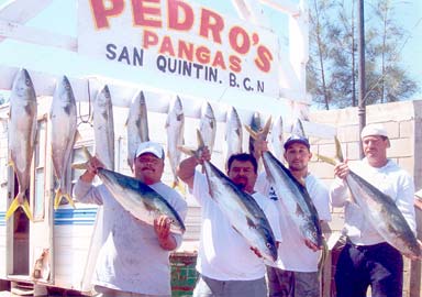 San Quintin Mexico Fishing Photo 8