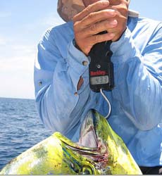 Sea of Cortez Mexico Fishing Photo 2