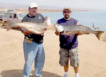 Castro's Camp Mexico Fishing Photo 1