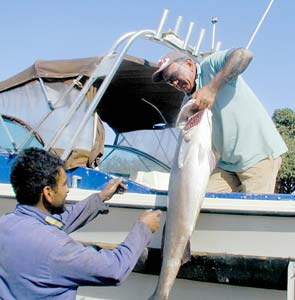 San Quintin Mexico Fishing Photo 2