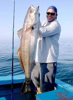 Castro's Camp Mexico Fishing Photo 2