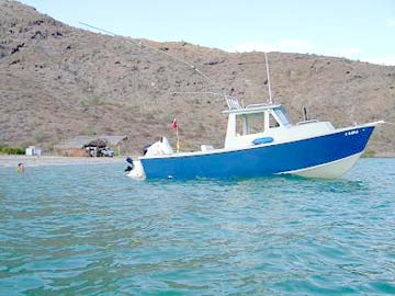 Mulege Mexico Fishing Photo 2