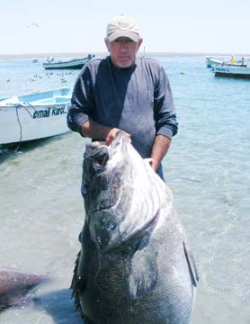 Baja Mexico Fishing Photo 1