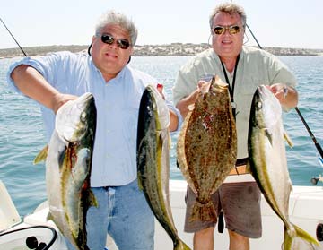 Yellowtail and halibut caught during fishing at San Quintin, Mexico.