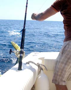 Sea of Cortez Mexico Dorado Fishing Photo 1