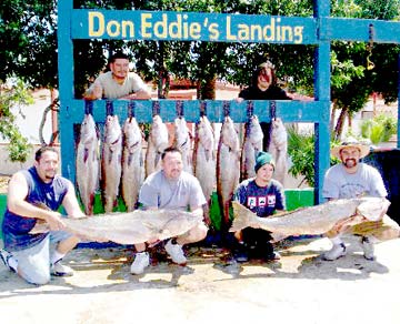 San Quintin Mexico White Seabass Fishing Photo 3