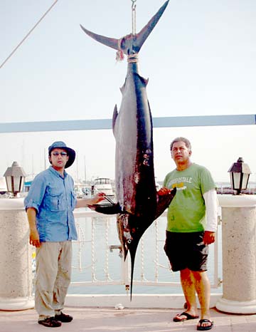 Sea of Cortez Mexico Black Marlin Fishing Photo 1