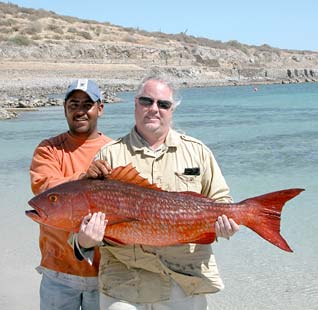 La Paz Mexico Mullet Snapper Fishing Photo 1