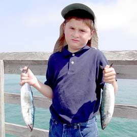 Rosarito Beach Mexico Pier Fishing Photo 1