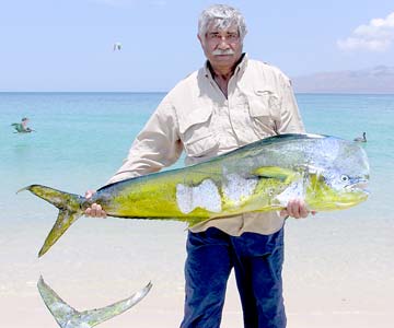 La Paz Mexico Dorado Fishing Photo 1