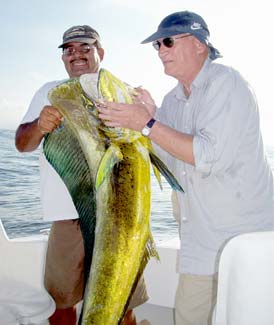 Cabo San Lucas Dorado Fishing Photo 1