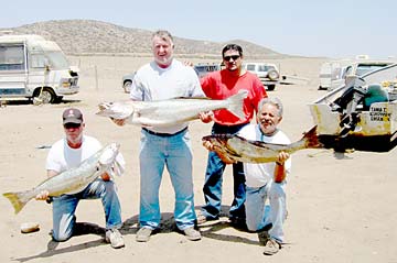 Camalu Mexico White Seabass Fishing Photo 1