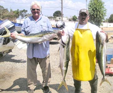 Ensenada Mexico Yellowtail Fishing Photo 1