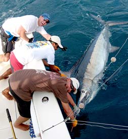 Puerto Vallarta Mexico Fishing Photo 2