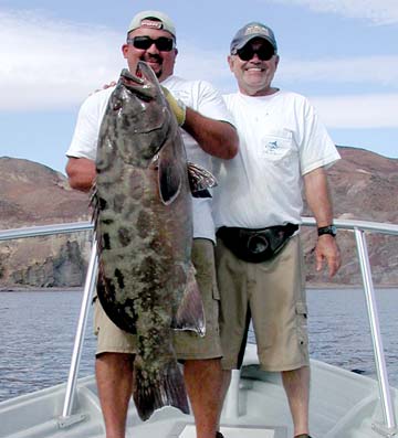 Bahia de los Angeles Mexico Grouper Fishing Photo 1