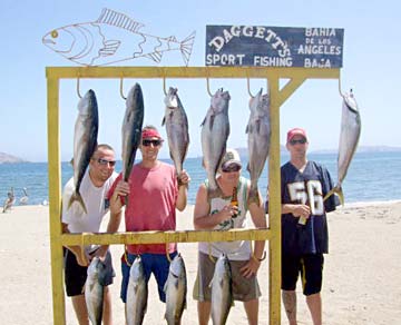 Bahia de los Angeles Mexico Yellowtail Fishing Photo 1