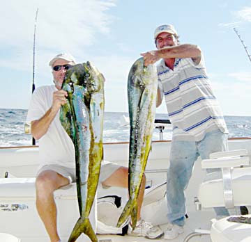 San Carlos Mexico Dorado Fishing Photo 1