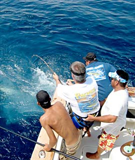 Puerto Vallarta Mexico Tuna Fishing Photo 3