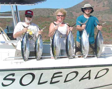 Loreto Mexico Tuna Fishing Photo 1