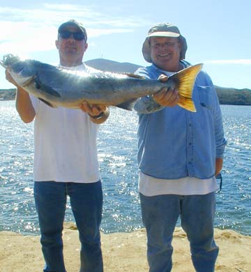 San Quntin Mexico White Seabass Fishing Photo 1