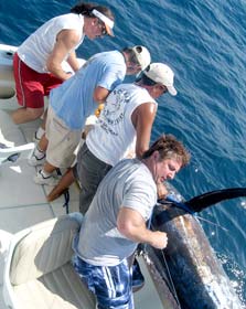 Cabo San Lucas Mexico Marlin Fishing Photo 1