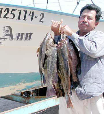 Magdalena Bay Mexico Broomtail Grouper Fishing Photo 1