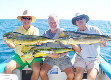 Cabo San Lucas Mexico Mahi Mahi Fishing Photo 1