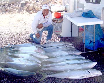 Santa Rosalia Mexico Yellowtail Fishing Photo 1