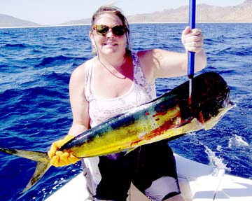 La Paz Mexico Dorado Fishing Photo 1