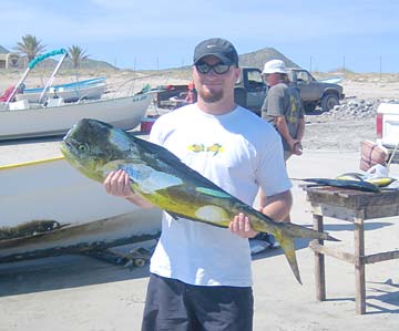 La Paz Mexico Dorado Fishing Photo 1