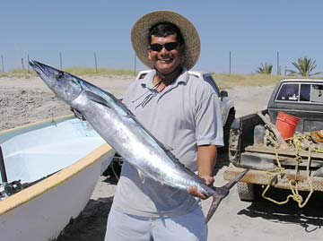 La Paz Mexico Las Arenas Fishing Photo 1