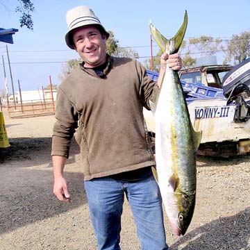 Ensenada Mexico Yellowtail Photo 1