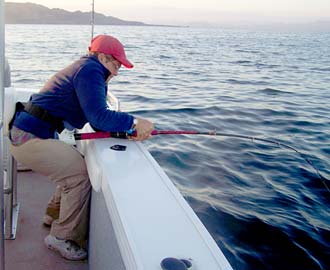 Santa Rosalia Mexico Yellowtail Fishing Photo 2