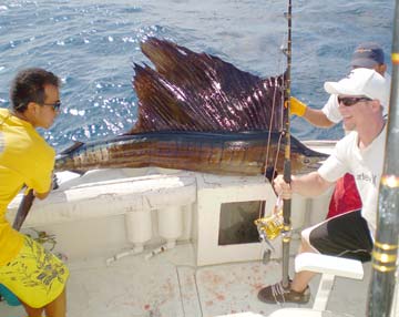 Puerto Vallarta Mexico Sailfish Photo 1