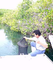 Magdalena Bay Mexico Shrimp Fishing Photo 1