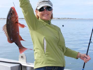 Magdalena Bay Mexico Fishing Photo 1