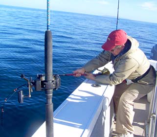 Santa Rosalia Mexico Yellowtail Fishing Photo 2