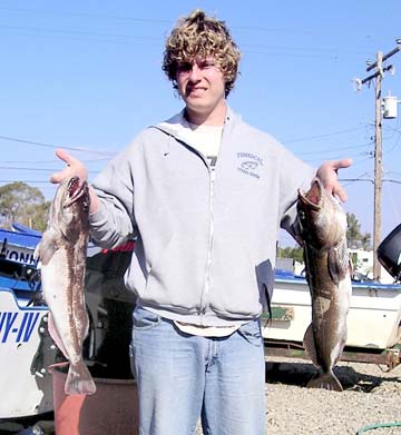 Ensenada Mexico Lingcod Fishing Photo 1