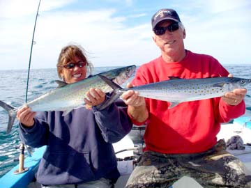 Cabo San Lucas Mexico Sierra Mackerel Photo 1