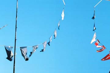 Cabo San Lucas Mexico Fishing Flags Photo 1