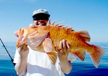 San Quintin Mexico Cowcod Fishing Photo 1