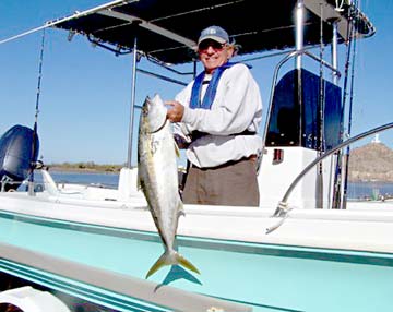 Mulege Mexico Yellowtail Fishing Photo 1