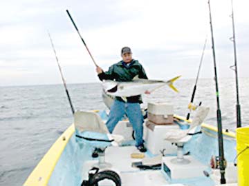 La Paz Mexico Yellowtail Fishing Photo 1