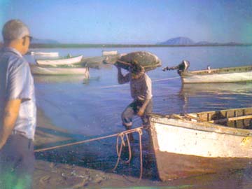 Bahia de los Angeles, Mexico Sea Turtle Fishing Photo 1